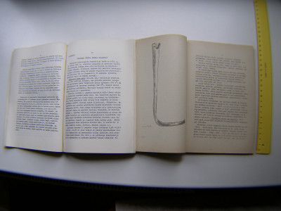 P1010943.JPG