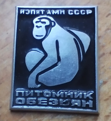 IMG_20250501_092212.jpg