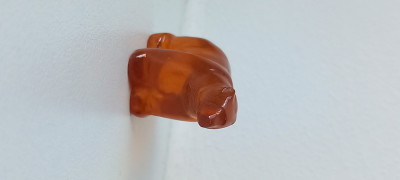 20250429_123813.jpg