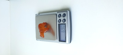 20250429_123915.jpg