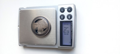 20250429_144206.jpg
