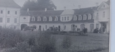 20250429_195401.jpg