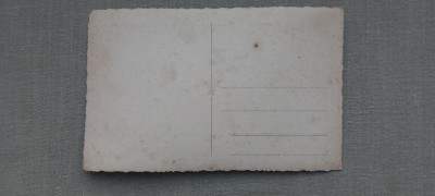20250429_201634.jpg
