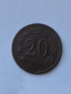 1746101417056.jpg