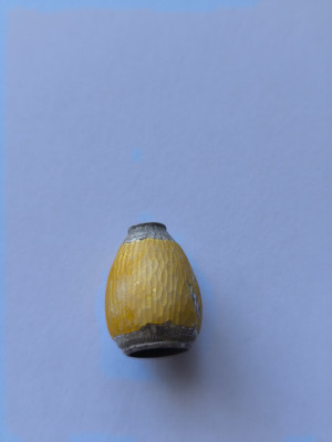 1746107404587.jpg