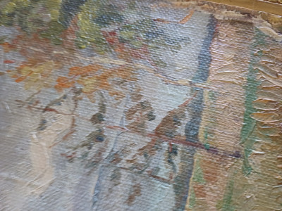 20250423_112317.jpg