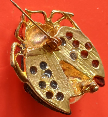 20250429_133253.jpg