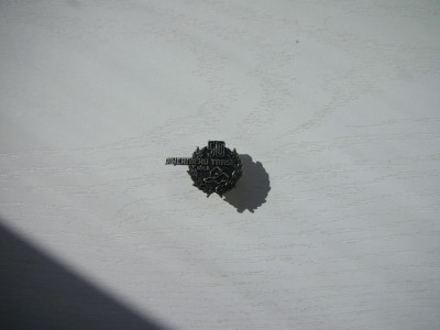 DSCN9082.JPG