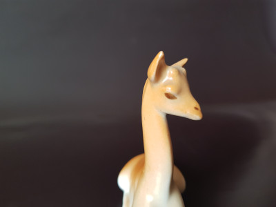 20250503_132341.jpg