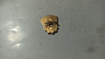 20250331_092433.jpg