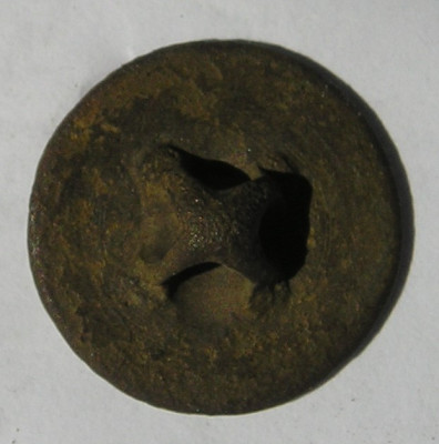 P1015386.JPG