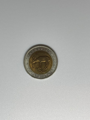 54.jpg