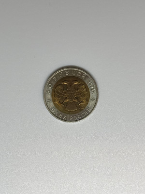 55.jpg