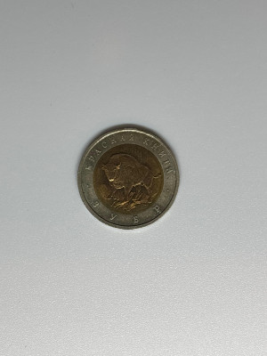 58.jpg
