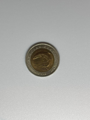 66.jpg