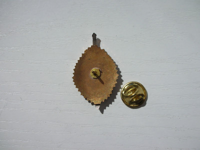 DSCN9161.JPG