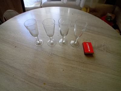 20250505_121459.jpg