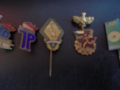 DSC09751.JPG