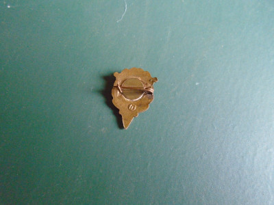 DSC09773.JPG