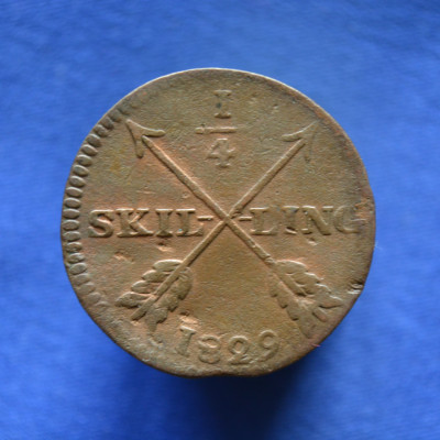 DSC_1303.JPG