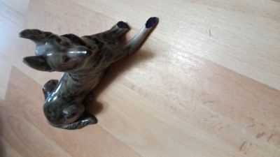 IMG-20231228-WA0019.jpeg