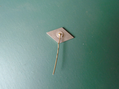 DSC09805.JPG
