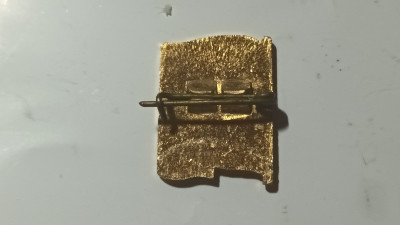 20250307_125527.jpg