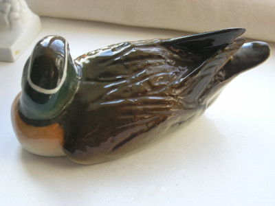 P1010007.JPG