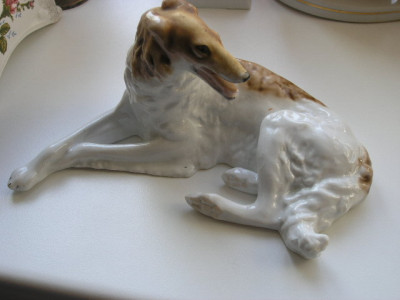 P1010017.JPG