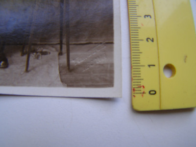 P1011037.JPG