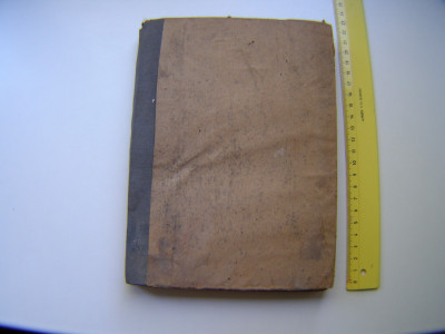 P1011077.JPG
