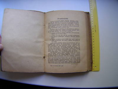 P1011080.JPG