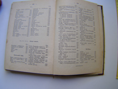 P1011087.JPG