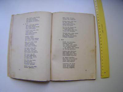P1011091.JPG