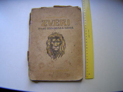 P1011093.JPG