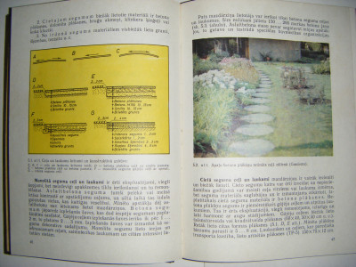 DSCF7697.JPG