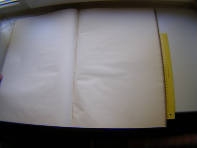 P1011117.JPG