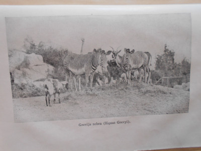 DSCN4991.JPG