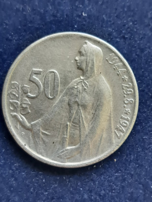 17 038.jpg