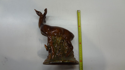 DSC02944.JPG