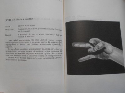 DSCN5233.JPG