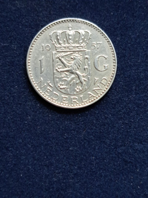 18 019.jpg