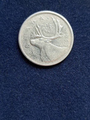 18 033.jpg