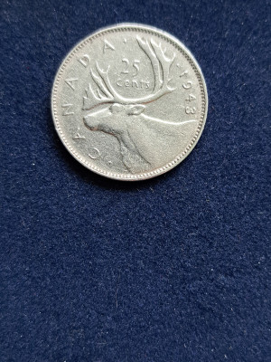 18 035.jpg