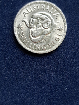 18 043.jpg