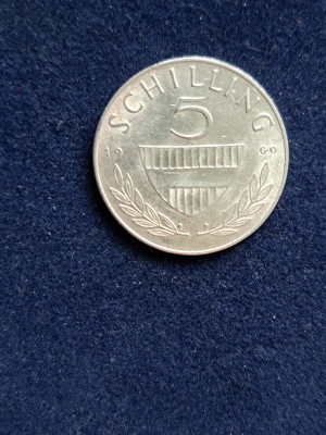 19 005.jpg