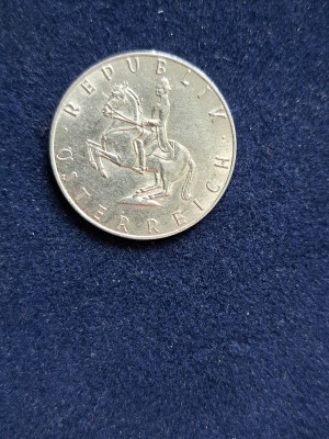 19 006.jpg