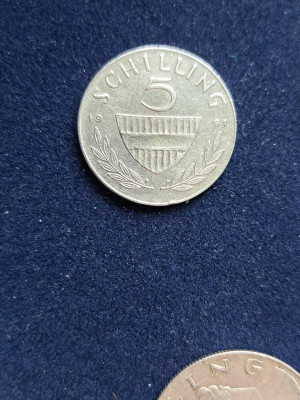19 009.jpg