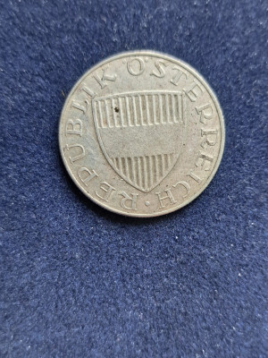 19 020.jpg