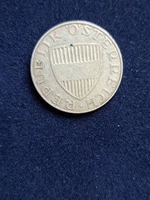 19 026.jpg